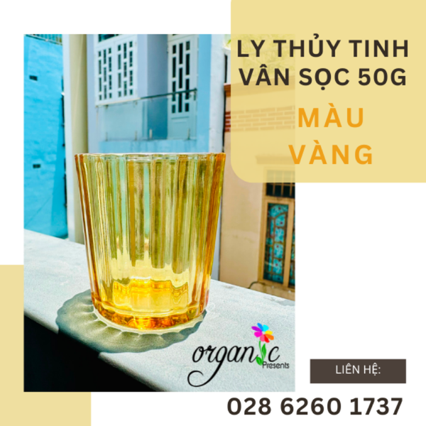 LY THỦY TINH ĐỰNG NẾN THƠM / TEALIGHT 50G