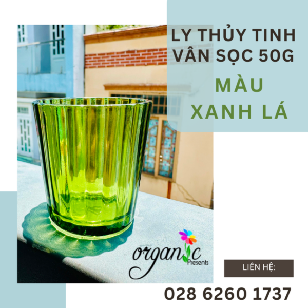 LY THỦY TINH ĐỰNG NẾN THƠM / TEALIGHT 50G