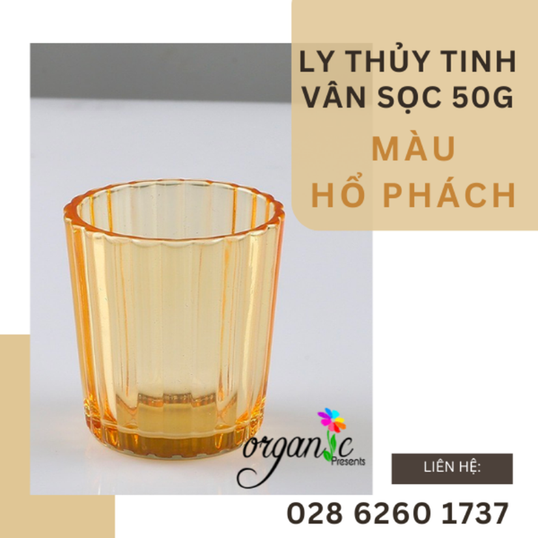 LY THỦY TINH ĐỰNG NẾN THƠM / TEALIGHT 50G