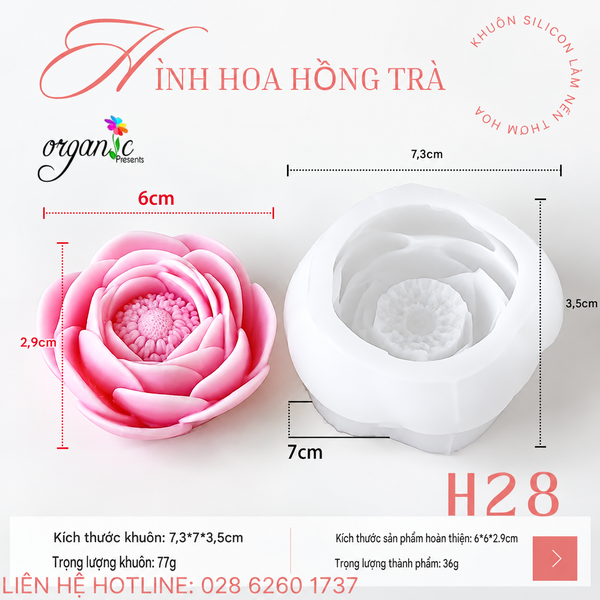 KHUÔN SILICON LÀM NẾN THƠM HÌNH HOA HỒNG TRÀ (H28) 