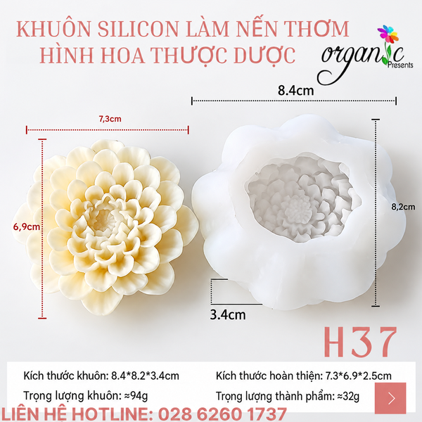 KHUÔN SILICON LÀM NẾN THƠM HÌNH HOA THƯỢC DƯỢC (H37)