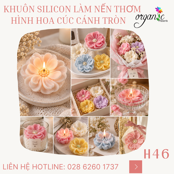 KHUÔN SILICON LÀM NẾN THƠM HÌNH HOA CÚC CÁNH TRÒN (H46)