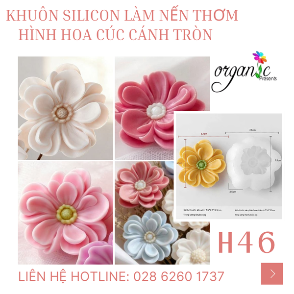 KHUÔN SILICON LÀM NẾN THƠM HÌNH HOA CÚC CÁNH TRÒN (H46)