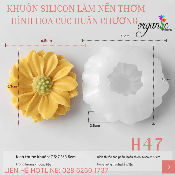 KHUÔN SILICON LÀM NẾN THƠM HÌNH HOA CÚC HUÂN CHƯƠNG (H47)