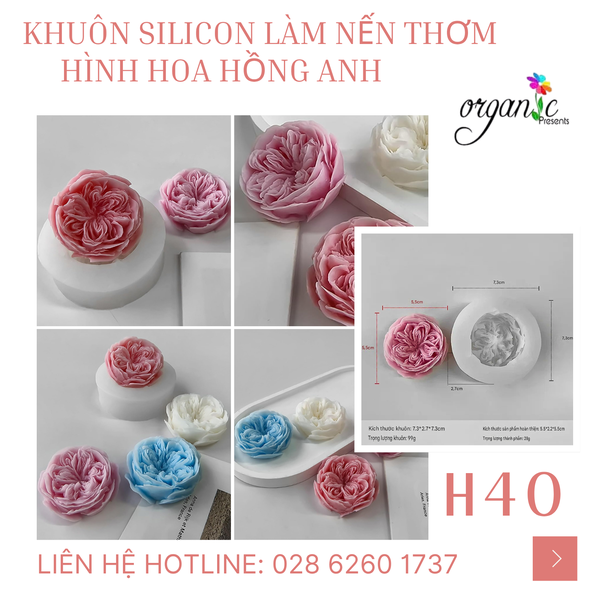 KHUÔN SILICON LÀM NẾN THƠM HÌNH HOA HỒNG ANH (H40)