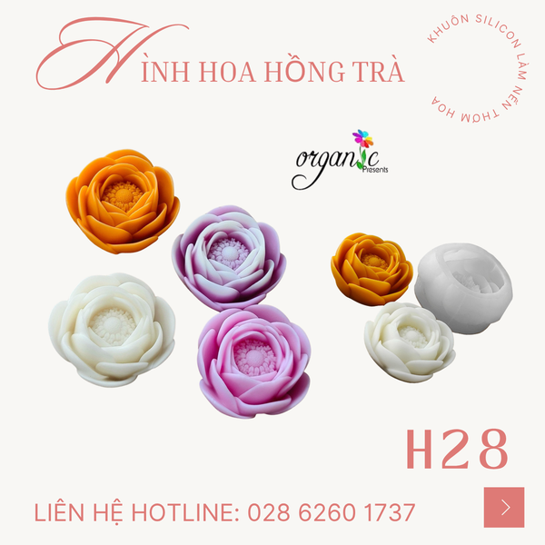 KHUÔN SILICON LÀM NẾN THƠM HÌNH HOA HỒNG TRÀ (H28) 