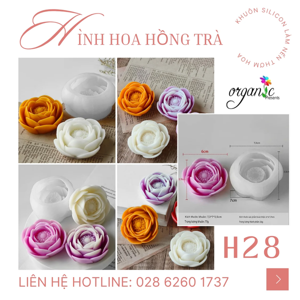 KHUÔN SILICON LÀM NẾN THƠM HÌNH HOA HỒNG TRÀ (H28) 