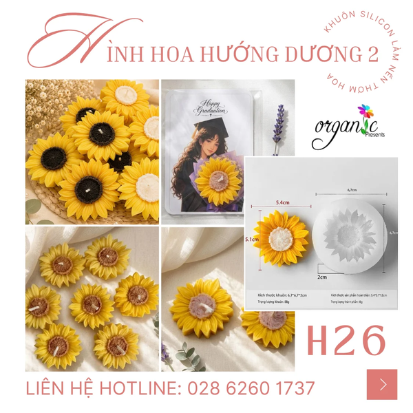 KHUÔN SILICON LÀM NẾN THƠM HÌNH HOA HƯỚNG DƯƠNG 2 (H26)