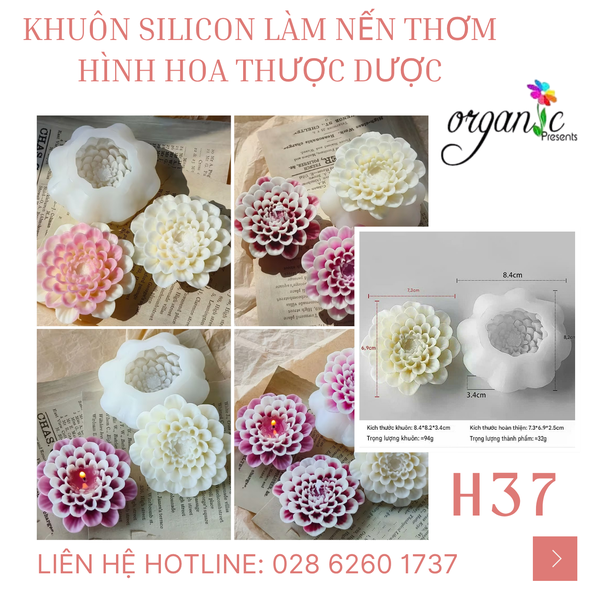 KHUÔN SILICON LÀM NẾN THƠM HÌNH HOA THƯỢC DƯỢC (H37)