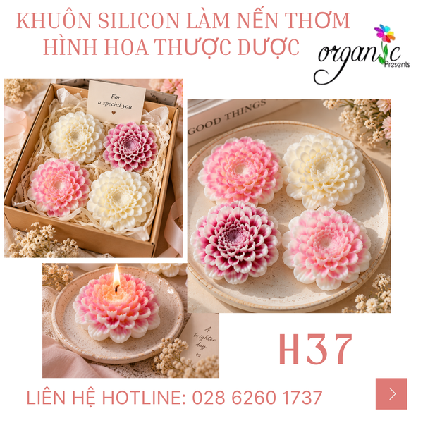 KHUÔN SILICON LÀM NẾN THƠM HÌNH HOA THƯỢC DƯỢC (H37)