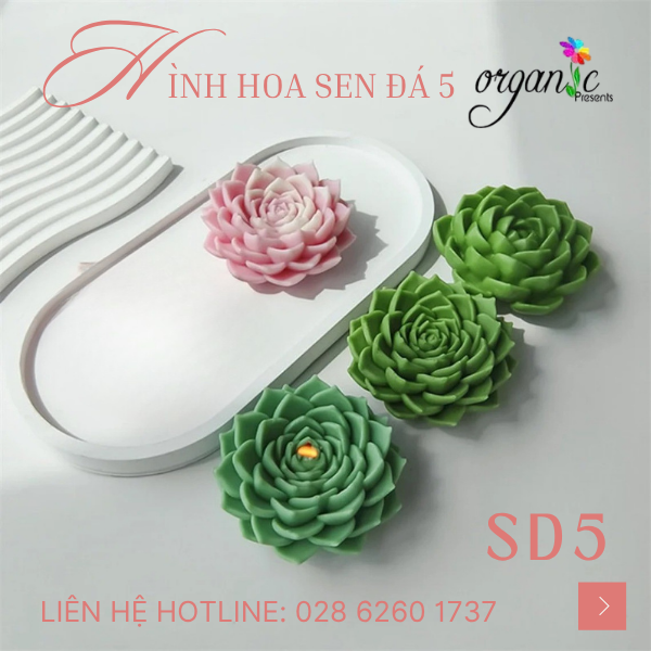 KHUÔN SILICON LÀM NẾN THƠM HÌNH HOA SEN ĐÁ 5 (SD5)