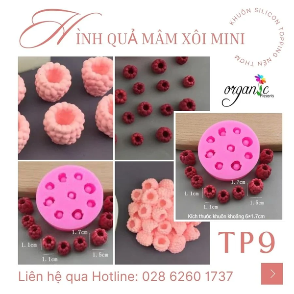KHUÔN SILICON TOPPING HÌNH BÁNH KẸO, TRÁI CÂY, ĐỒ DECOR TRANG TRÍ