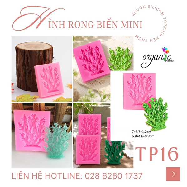 KHUÔN SILICON TOPPING HÌNH RONG BIỂN TP16