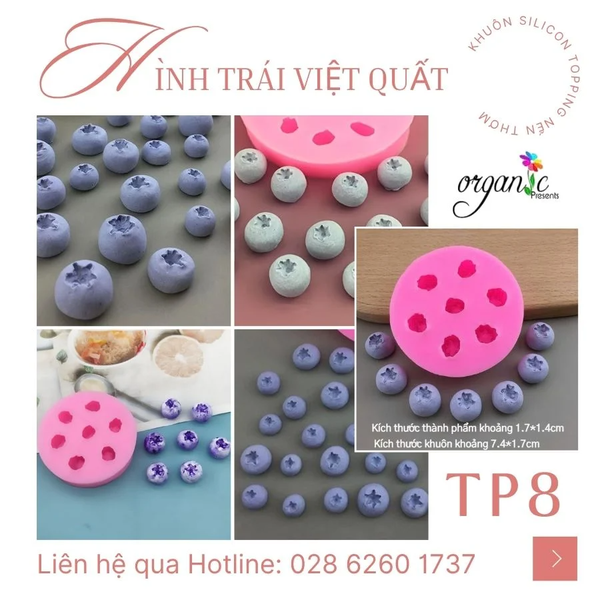 KHUÔN SILICON TOPPING HÌNH BÁNH KẸO, TRÁI CÂY, ĐỒ DECOR TRANG TRÍ