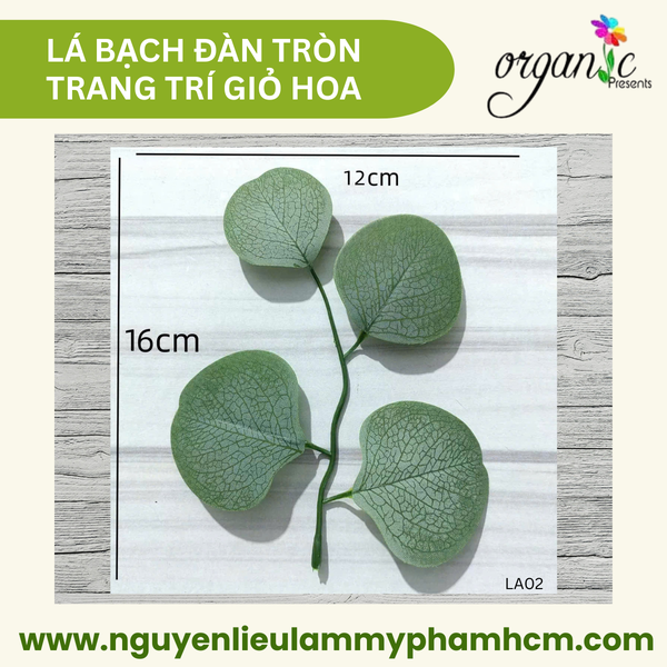 LÁ BẠCH ĐÀN TRÒN TRANG TRÍ GIỎ HOA (LA02)