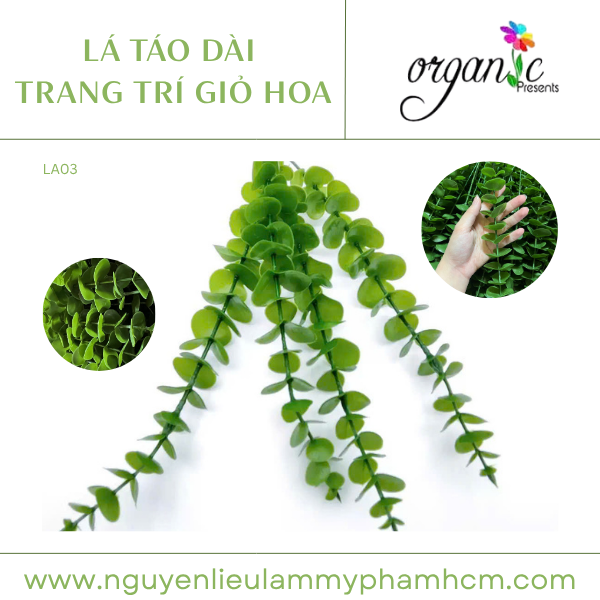 LÁ TÁO TRANG TRÍ GIỎ HOA LÁ DÀI (LA03)