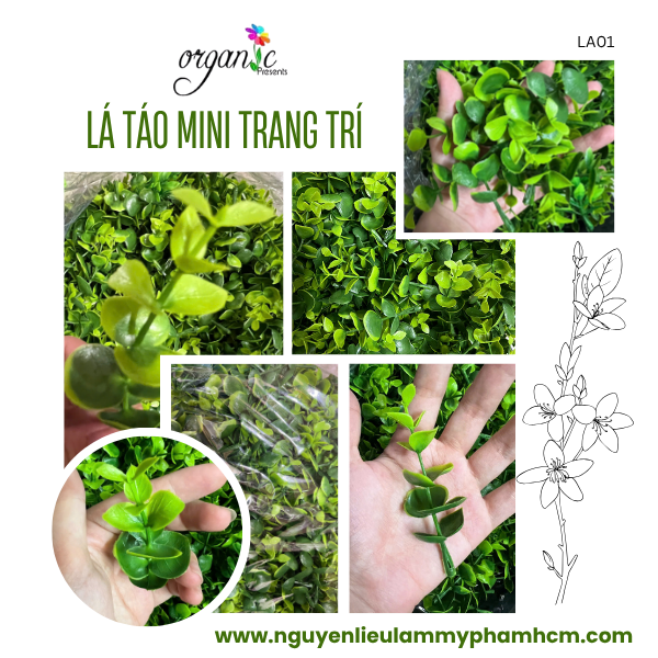 LÁ TÁO TRANG TRÍ GIỎ HOA MINI (LA01)
