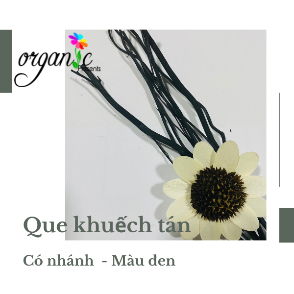 QUE KHUẾCH TÁN TINH DẦU (CÓ NHÁNH - MÀU ĐEN)