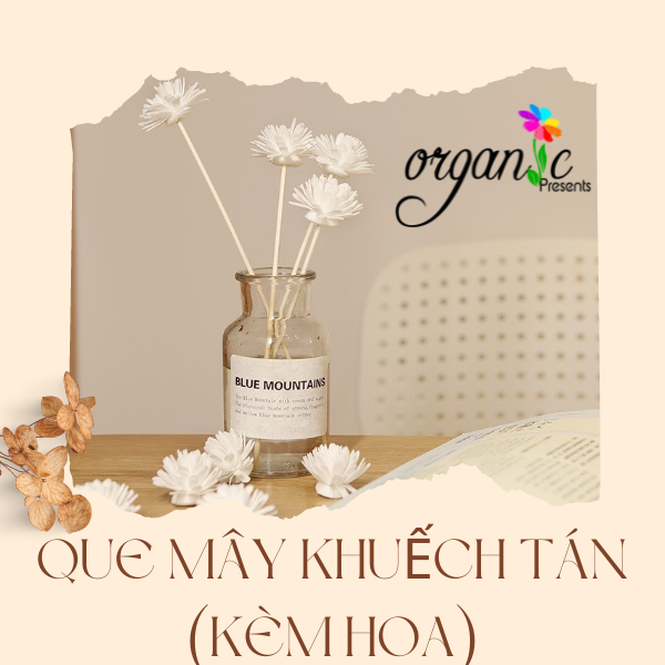 QUE MÂY KHUẾCH TÁN TINH DẦU (KÈM HOA)