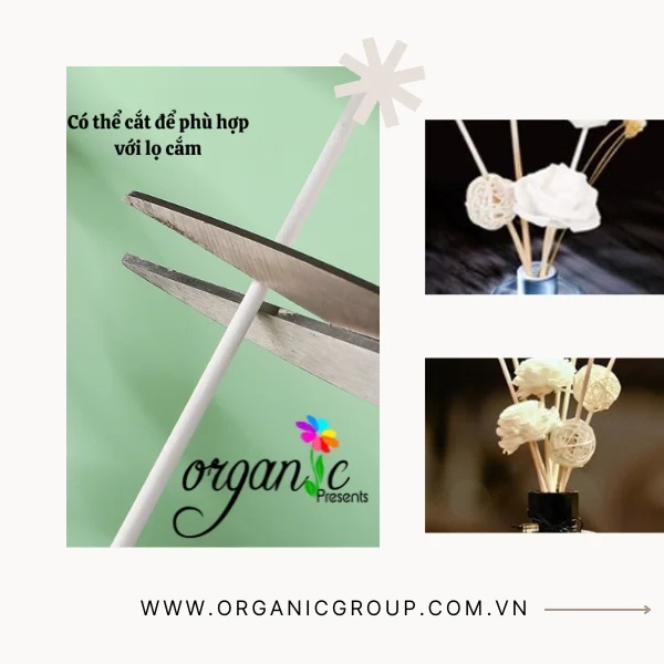 QUE KHUẾCH TÁN TINH DẦU (MÀU TRẮNG)