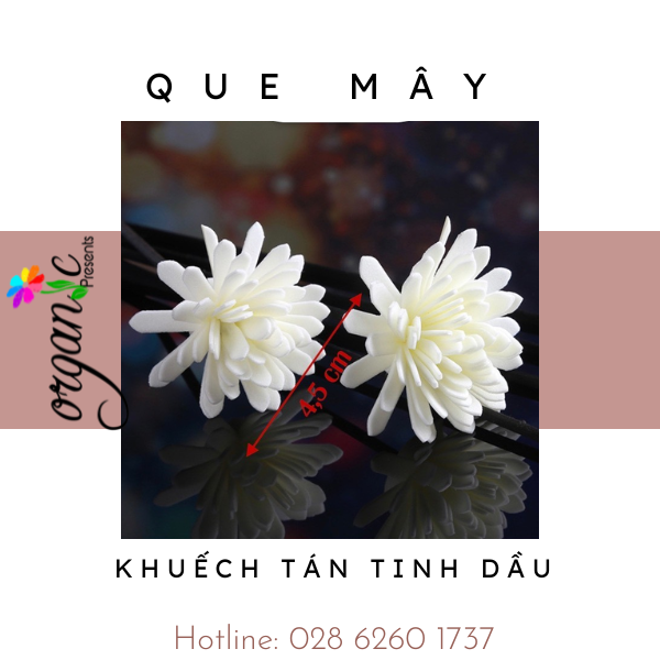 QUE MÂY KHUẾCH TÁN TINH DẦU (KÈM HOA)