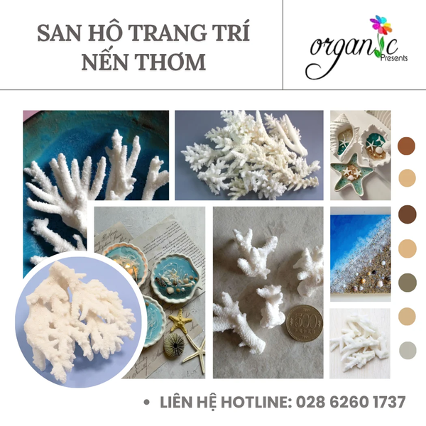 SAN HÔ TRANG TRÍ NẾN THƠM