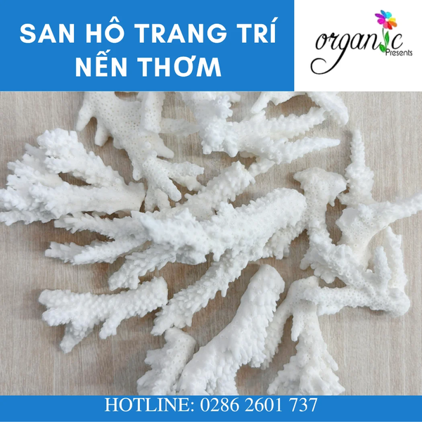 SAN HÔ TRANG TRÍ NẾN THƠM