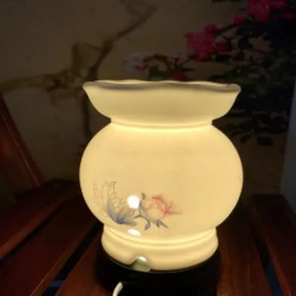 ĐÈN SỨ THẤU QUANG 09