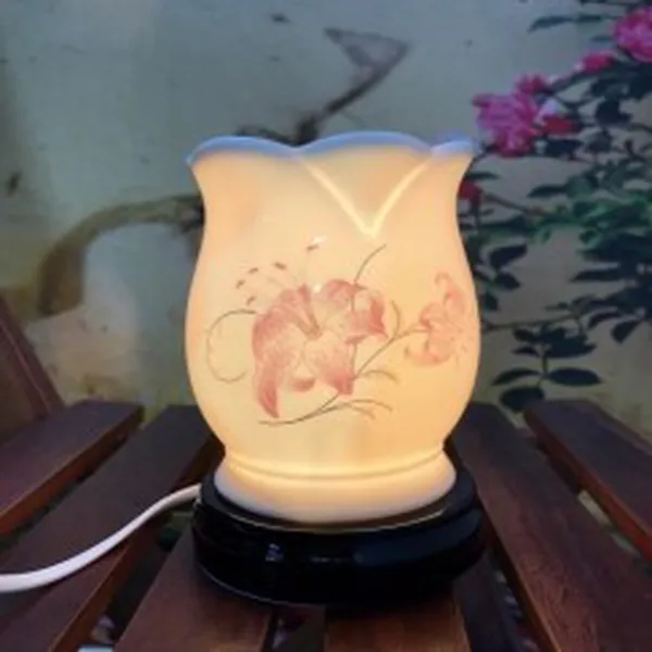 ĐÈN SỨ THẤU QUANG 11