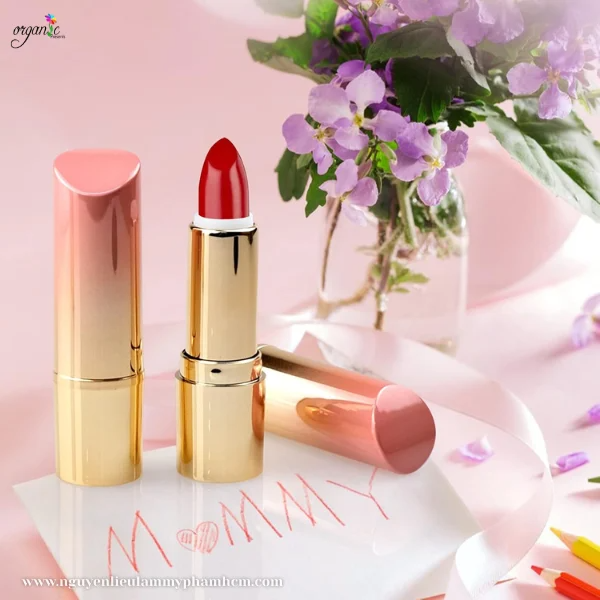 VỎ SON THỎI (TRỤ TRÒN - OMBRE HỒNG)