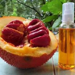 DẦU GẤC (Gac Oil)