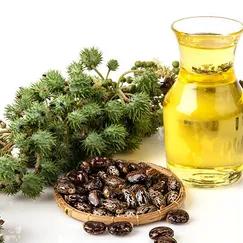 DẦU THẦU DẦU (Castor Oil)