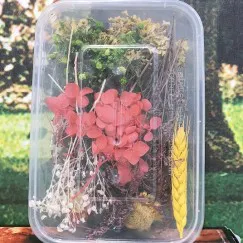 HOA KHÔ TRANG TRÍ NẾN/ SÁP THƠM