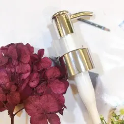 VÒI CHỐT XI BẠC PHI 24