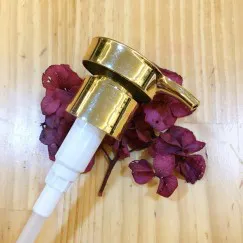 VÒI NHẤN NHỎ GIỌT XI VÀNG PHI 24