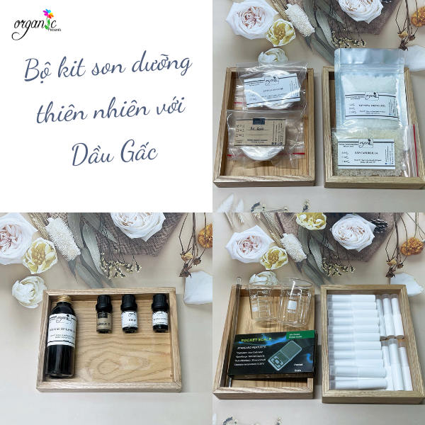 [KHỞI NGHIỆP] BỘ KIT LÀM 30 THỎI SON DƯỠNG MÔI THIÊN NHIÊN VỚI DẦU GẤC (KHÔNG DÙNG KHUÔN)