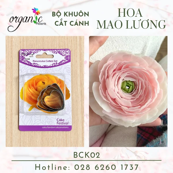 BỘ KHUÔN INOX CẮT CÁNH HOA LÀM HOA NẾN (HOA MAO LƯƠNG - BKC02)