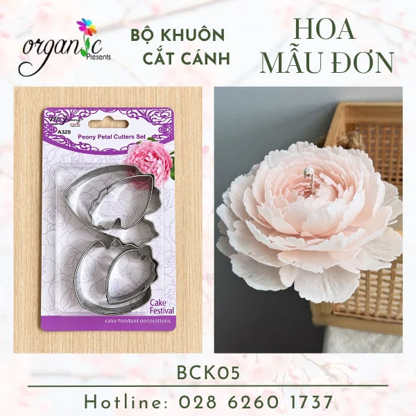 BỘ KHUÔN INOX CẮT CÁNH HOA LÀM HOA NẾN (HOA MẪU ĐƠN - BKC05)
