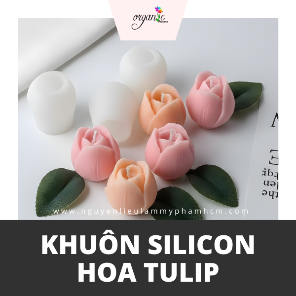 KHUÔN SILICON HOA TULIP (H20 - M)