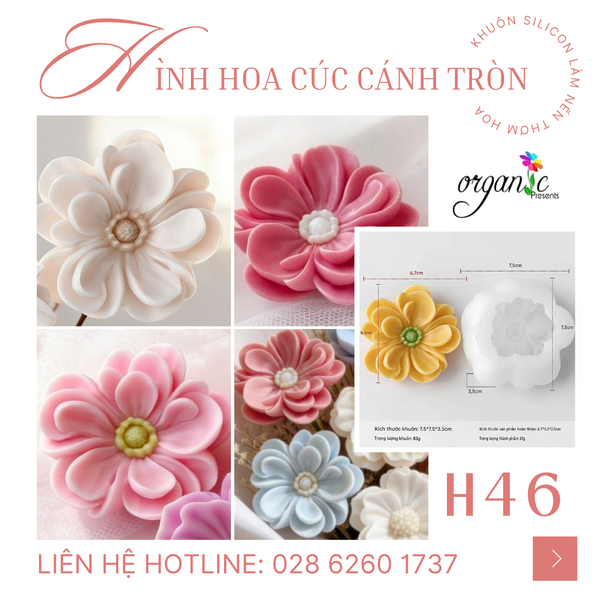 KHUÔN SILICON LÀM NẾN THƠM HÌNH HOA CÚC CÁNH TRÒN (H46)
