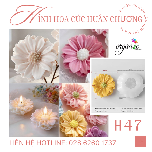 KHUÔN SILICON LÀM NẾN THƠM HÌNH HOA CÚC HUÂN CHƯƠNG (H47)