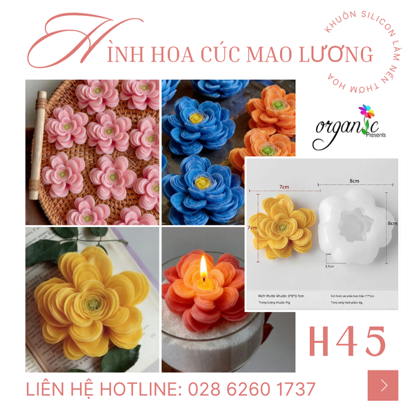 KHUÔN SILICON LÀM NẾN THƠM HÌNH HOA CÚC MAO LƯƠNG (H45)