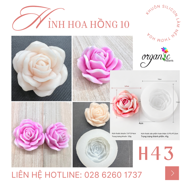 KHUÔN SILICON LÀM NẾN THƠM HÌNH HOA HỒNG 10 (H43)