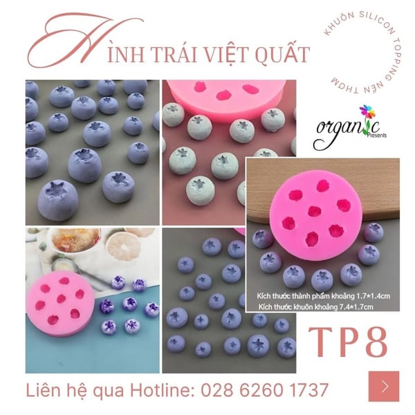 KHUÔN SILICON TOPPING HÌNH TRÁI VIỆT QUẤT (TP8)