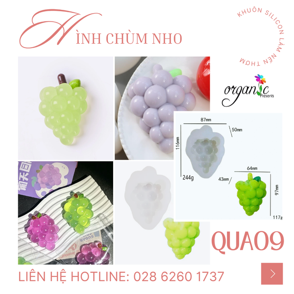 KHUÔN SILICON LÀM NẾN THƠM/ XÀ PHÒNG/ THẠCH CAO HÌNH TRÁI CÂY