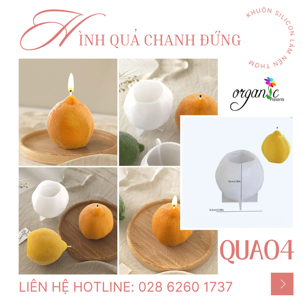KHUÔN SILICON LÀM NẾN THƠM/ XÀ PHÒNG/ THẠCH CAO HÌNH TRÁI CÂY