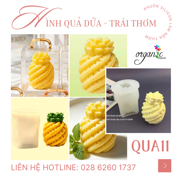 KHUÔN SILICON LÀM NẾN THƠM/ XÀ PHÒNG/ THẠCH CAO HÌNH TRÁI CÂY