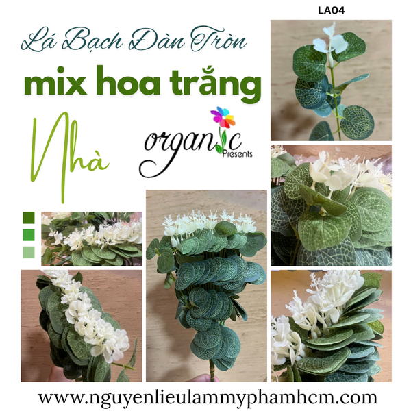 LÁ BẠCH ĐÀN TRÒN MIX HOA TRẮNG TRANG TRÍ GIỎ HOA (LA04)