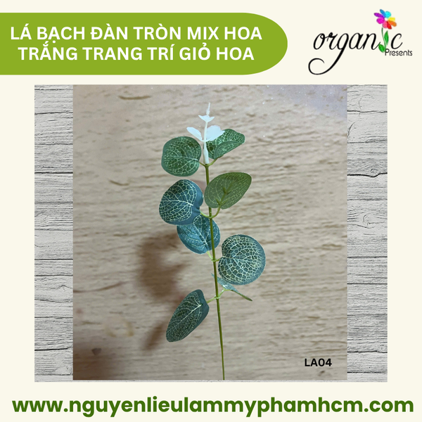 LÁ BẠCH ĐÀN TRÒN MIX HOA TRẮNG TRANG TRÍ GIỎ HOA (LA04)