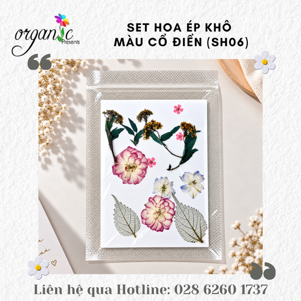SET HOA ÉP KHÔ TRANG TRÍ ĐỒ HANDMADE (CỔ ĐIỂN - SH06)